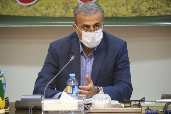 افزایش 47 درصدی تولید کلزا در خوزستان