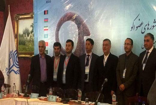 همکاری‌ کشورهای اکو تضمین کننده سلامت دام و سلامت مردم