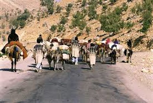 استقرار ۱۲ فروشگاه توزیع ارزاق در مسیر کوچ عشایر