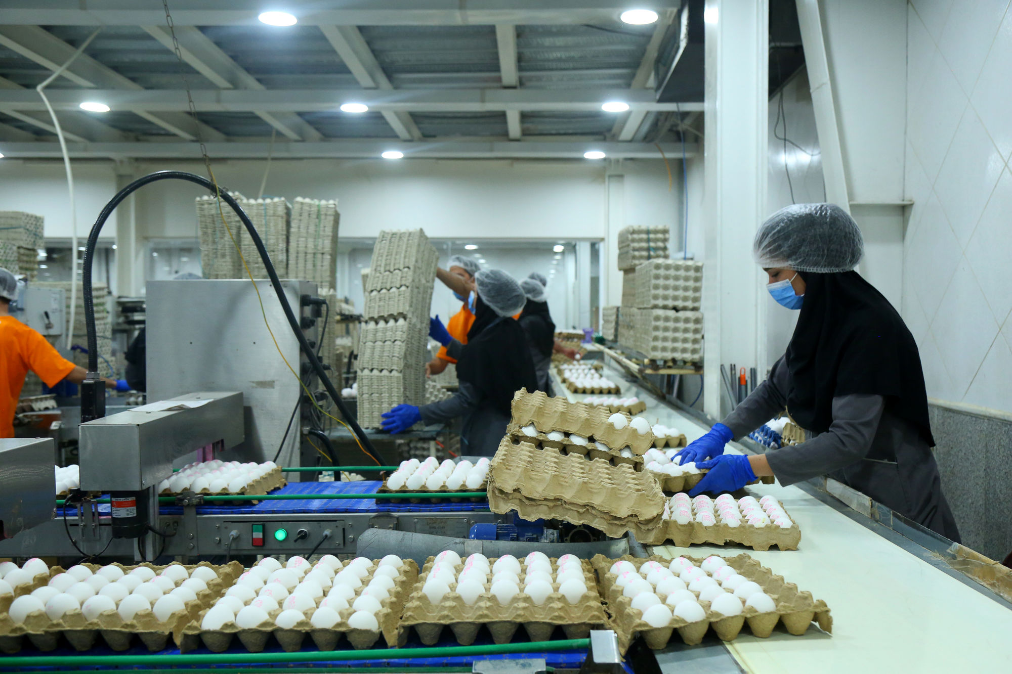 تور رسانه ای به مناسبت هفته دامپزشکی 