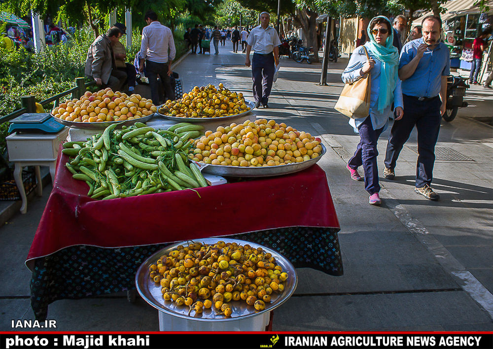 نوبرانه‌های رنگی