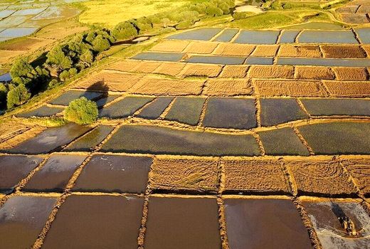 واگذاری بیش از ۱۳۷ هکتار اراضی استان سمنان