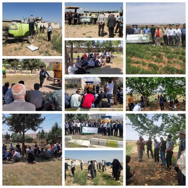 آموزش ۱۶۰ بهره بردار بخش کشاورزی استان قزوین با کالیبراسیون سمپاش‌ها