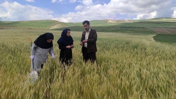 مسیر توسعه اقتصادی آذربایجانغربی از کشاورزی میگذرد