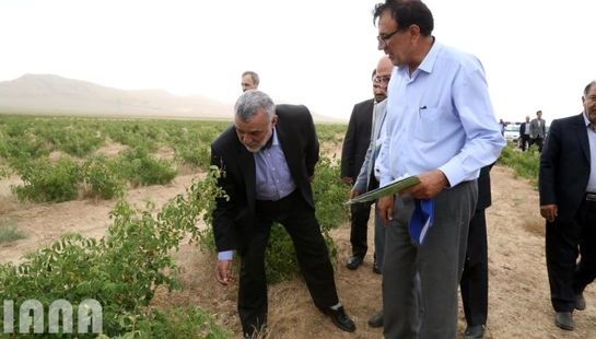 سفر وزیر جهاد کشاورزی به شهرستان میمه، استان اصفهان