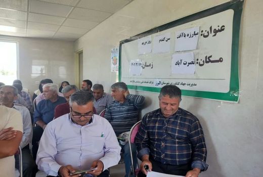 برگزاری روز مزرعه کلزا و انتقال یافته‌های تحقیقاتی در شهرستان البرز