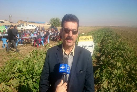سالانه ۲۰ میلیون تن محصولات علوفه ای در کشور تولید می شود
