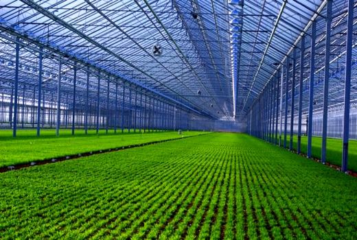 فراخوان عمومی دعوت از متقاضیان سرمایه‌گذاری در شهرک گلخانه‌ای عجب شیر 