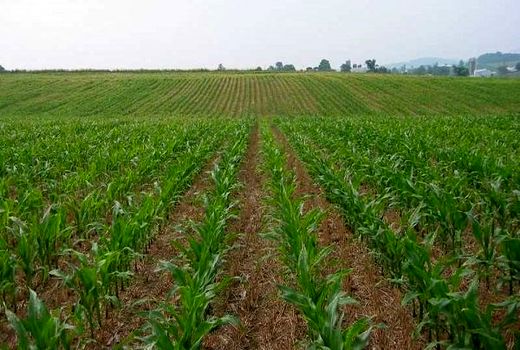بررسی هشت پلاک در هجدهمین کمیسیون رفع تداخلات خوزستان