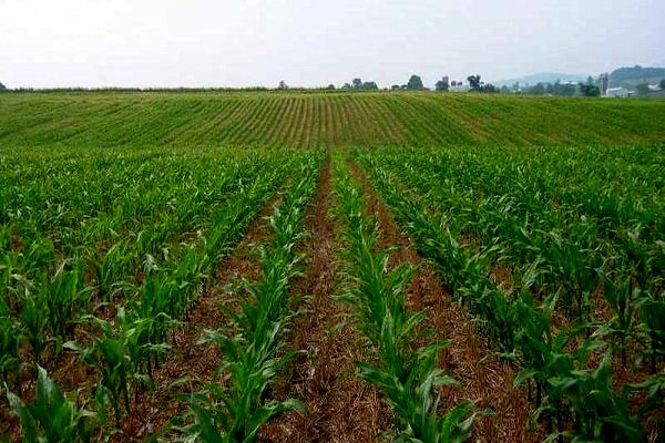 بررسی هشت پلاک در هجدهمین کمیسیون رفع تداخلات خوزستان