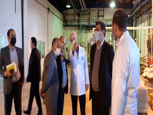 بازدید معاونین وزیر جهاد کشاورزی از سورتینگ مرکبات در ساری