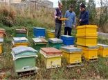 پایان سرشماری زنبورستان‌های شهرستان هوراند/ تولید سالانه ۱۲۶ تن عسل در هوراند