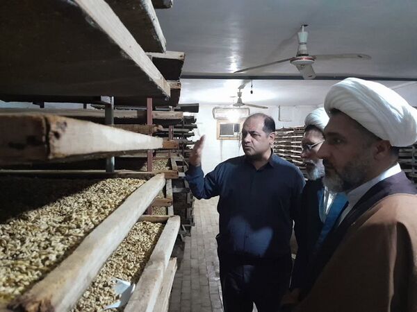 دستور کار سازمان، حذف سموم پر خطر و تولید محصول سالم است