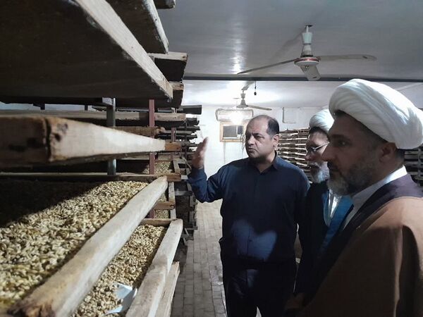 دستور کار سازمان، حذف سموم پر خطر و تولید محصول سالم است