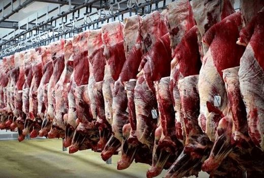 افزایش ۵۰۰ تنی تولید گوشت قرمز در کردستان