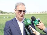  ۹۸ درصد بذر کشور حاصل ایستگاه‌های تحقیقاتی تات است