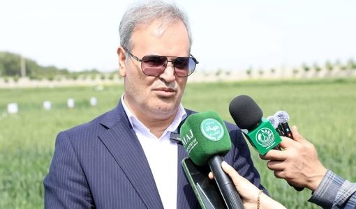  ۹۸ درصد بذر کشور حاصل ایستگاه‌های تحقیقاتی تات است