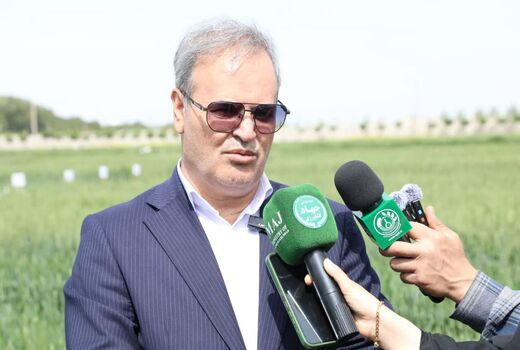  ۹۸ درصد بذر کشور حاصل ایستگاه‌های تحقیقاتی تات است