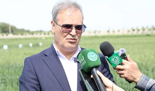  ۹۸ درصد بذر کشور حاصل ایستگاه‌های تحقیقاتی تات است