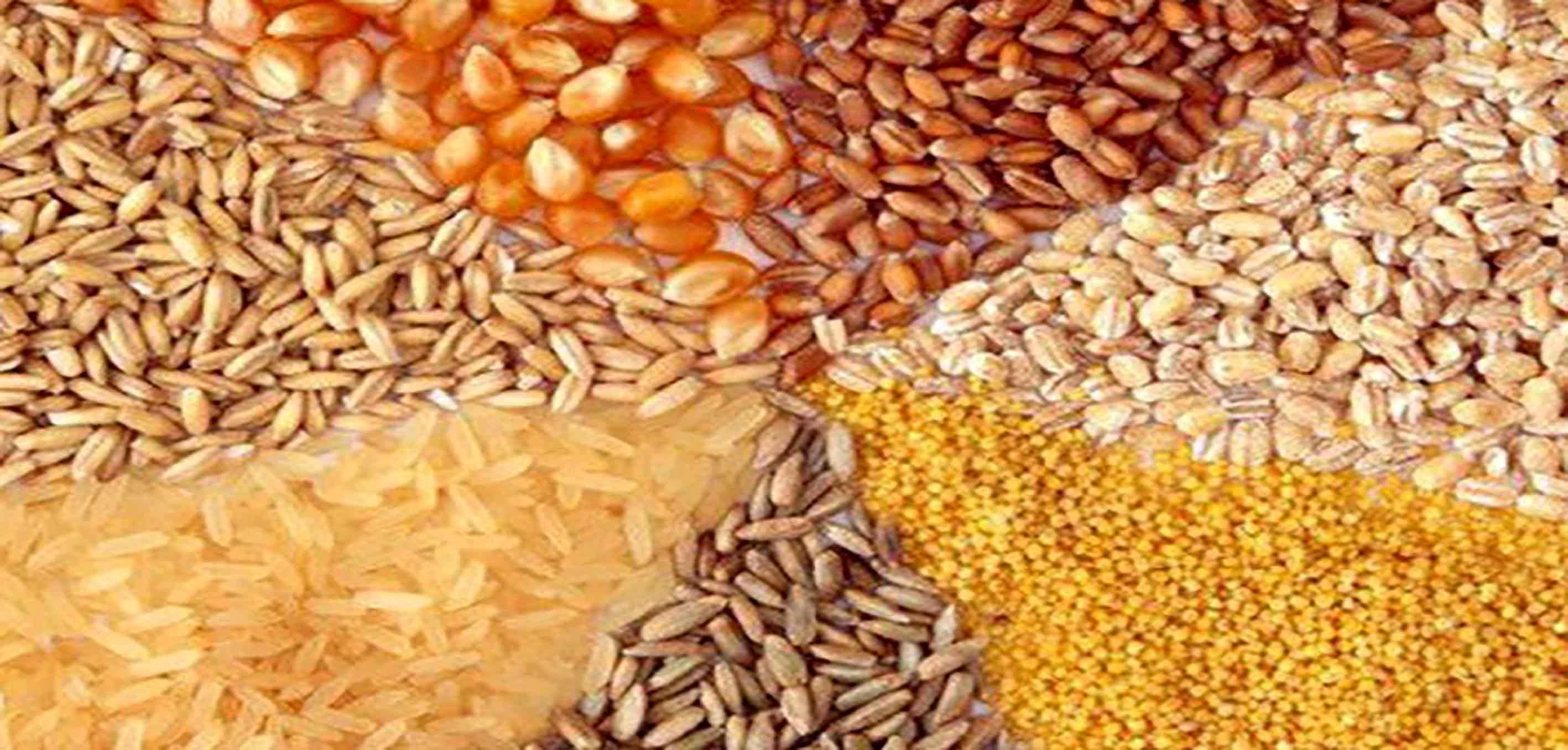 نهاده‌های دامی همچنان با نرخ ۱۱هزار و ۳۰۰ تومان عرضه می‌شود/ خریداری ذخایر راهبردی فراتر از تکلیف قانونی 