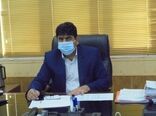 پیش بینی برداشت ۳۴ کیلوگرم زعفران در استان ایلام
