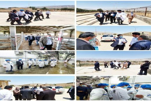 بازدید جانشین دادستان از کشتارگاه صنعتی ایلام