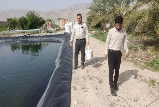 پرورش ماهی سی بس برای اولین بار در فراشبند