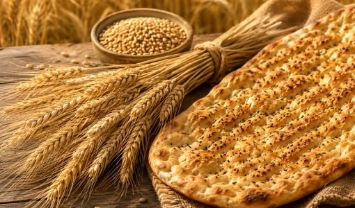 ضرورت اصلاح سازوکار پرداخت کشاورزان و توسعه نان سبوس‌دار