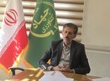 رشد بی‌سابقه اعتبارات و پرداخت گسترده تسهیلات، موتور محرک کشاورزی چهارمحال و بختیاری