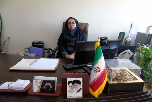 عملیات بهسازی و نوسازی باغات استان بوشهر اجرا می‌شود