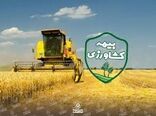 پایان دی ماه، آخرین فرصت برای بیمه کشاورزی