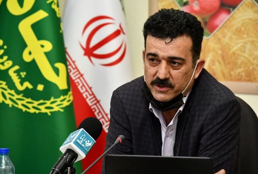 کاهش مصرف کود فسفاته معضل بخش کشاورزی