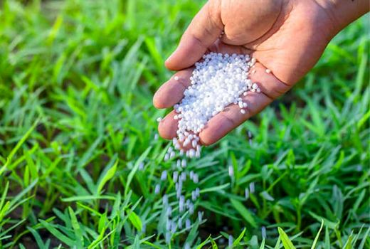 توزیع گسترده کود اوره؛ گامی محکم در حمایت از کشاورزان استان سمنان