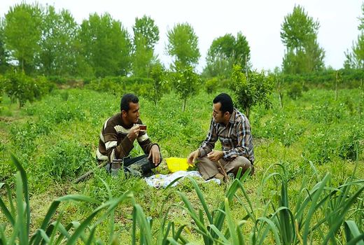تدارک شبکه مستند به مناسبت روز ولادت