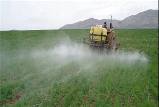 آماده باش کامل کارشناسان فنی جهاد کشاورزی شهرستان پردیس در مبارزه با ملخ