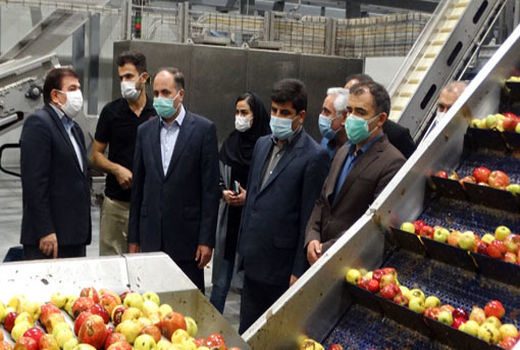 پرداخت تسهیلات 4 درصدی از محل منابع صندوق حمایت از توسعه کشاورزی جهت خرید محصولات درجه 3 و 4 سیب