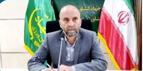 کشت محصولات پاییزه ازاولویت سازمان است