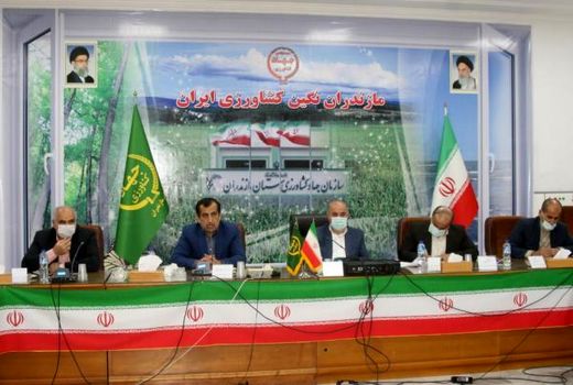 جهاد کشاورزی پیشرو در جهش تولید