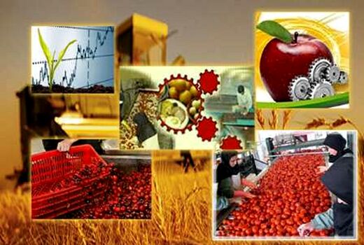 واحدهای تولیدی راکد در نی ریز فعال می شوند