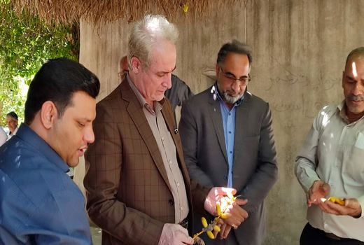 خطرات نوپدید در بخش کشاورزی با تغییرات اقلیمی 