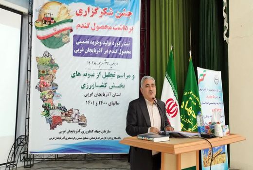  پیش بینی تولید یک میلیون تن گندم از مزارع آذربایجان غربی