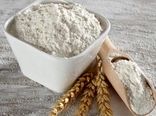 کنترل دقیق کیفیت گندم؛ نبض تولید آرد مرغوب