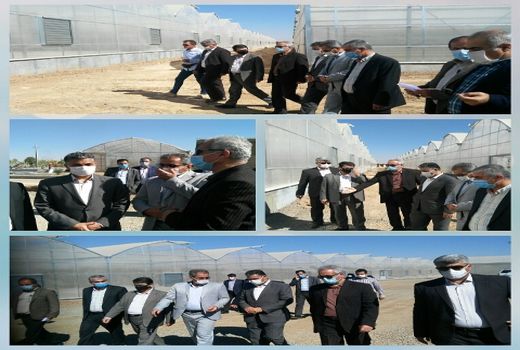 ترفند دشمنان با همت تولید کنندگان بخش کشاورزی شکست خورد