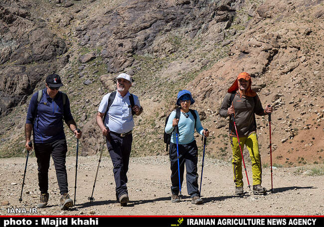 کوه پیمایی