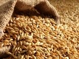 دامداران جو را از سامانه بازارگاه تهیه کنند