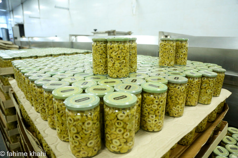 از لمس شاخه تا عصاره ی نور  