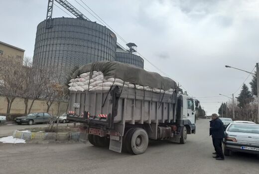 ارسال۱۰ تن سبوس گندم توسط جهاد کشاورزی زنجان ُبرای دامداران آسیب دیده از زلزله‌ خوی