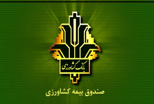 افزایش 140 درصدی غرامت پرداختی به کشاورزان خسارت دیده / جهش ۱۵۰ درصدی تعهدات بیمه گندم/ پوشش 100 درصدی 6.5 میلیون هکتار گندمزار