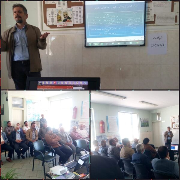 بهره برداران شهرستان قزوین با روش های نوین پرورش ماهی در استخر آشنا شدند