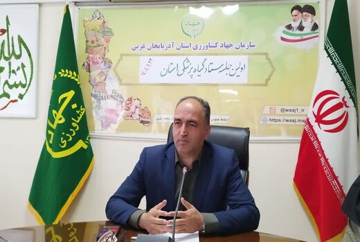مبارزه به موقع با آفات، سرمایه‌گذاری برای تولید پایدار است